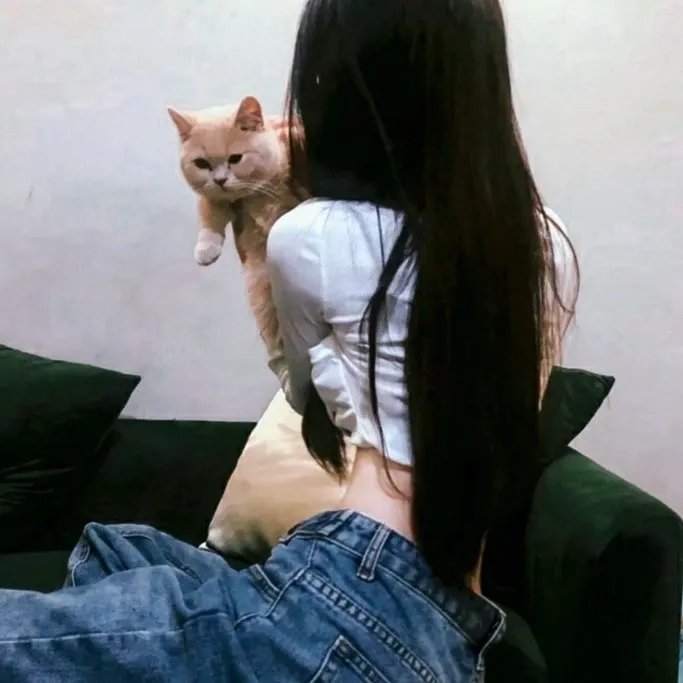 外科医生：生命边缘第四季